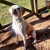 Thumbnail photo of Bentley #2