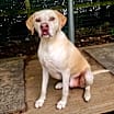 Thumbnail photo of Bentley #4