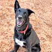 Thumbnail photo of Kaeli #1