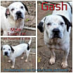 Thumbnail photo of Gash #1