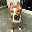 Thumbnail photo of Slim #4