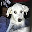 Thumbnail photo of Faith #1