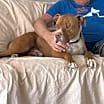 Thumbnail photo of Caine #2