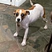 Thumbnail photo of Ivy Belle #2