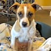 Thumbnail photo of Ivy Belle #4
