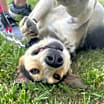 Thumbnail photo of Walter #1