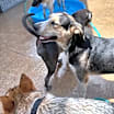 Thumbnail photo of Walter #4