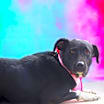 Thumbnail photo of Starla JuM #4