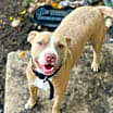 Thumbnail photo of Odin JC #3
