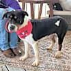 Thumbnail photo of Miss Bea JuM #2