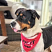 Thumbnail photo of Miss Bea JuM #3
