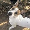 Thumbnail photo of Lenny NN #3