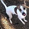 Thumbnail photo of Lenny NN #4