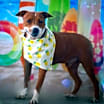 Thumbnail photo of Captain JuM* #4