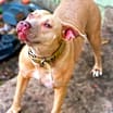 Thumbnail photo of Nyla JC #4