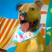 Thumbnail photo of Mason JuM #2