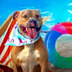Thumbnail photo of Mason JuM #4