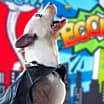 Thumbnail photo of Squiggy JuM #4