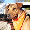 Thumbnail photo of Rosalyn JuM #1