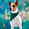 Thumbnail photo of Bobby Darin (D.O.G.) JuM* #2