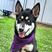 Thumbnail photo of Sonya JuM #2