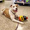 Thumbnail photo of Gayle JuM #2