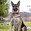 Thumbnail photo of Louise #1