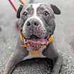 Thumbnail photo of Wade #3