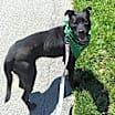 Thumbnail photo of Roxy #2