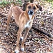Thumbnail photo of Molly #2