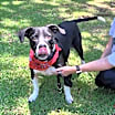 Thumbnail photo of Bosco #3