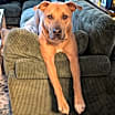 Thumbnail photo of Colden #1