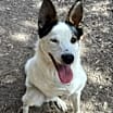 Thumbnail photo of Finley #2
