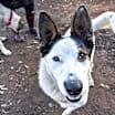 Thumbnail photo of Finley #3