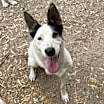 Thumbnail photo of Finley #4