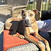 Thumbnail photo of Janice #4