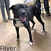 Thumbnail photo of River #2