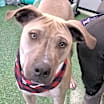 Thumbnail photo of Axel #1