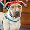 Thumbnail photo of Axel #2