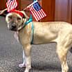 Thumbnail photo of Axel #3