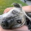 Thumbnail photo of Axel #4