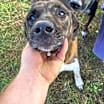 Thumbnail photo of Molly #1