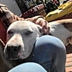 Thumbnail photo of Yin #4