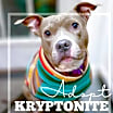Thumbnail photo of Kryptonite #1