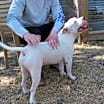 Thumbnail photo of Max Cooper #2