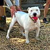 Thumbnail photo of Max Cooper #4