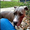 Thumbnail photo of Betty Boop #2