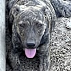 Thumbnail photo of Lola #3