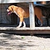 Thumbnail photo of Beasley #2