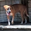 Thumbnail photo of Beasley #3